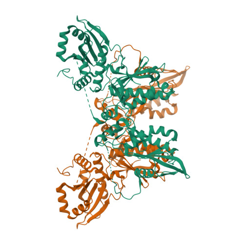 RCSB PDB - 7LRE: Cryo-EM of the SLFN12-PDE3A complex: SLFN12 body ...