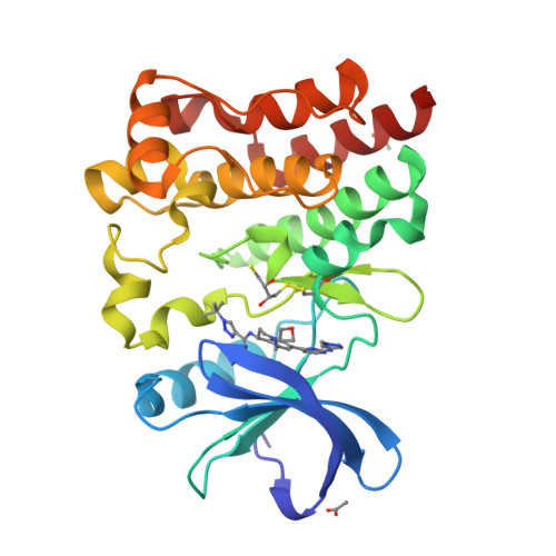 Rcsb Pdb Ltz Bruton S Tyrosine Kinase In Complex With Compound