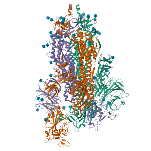 RCSB PDB - 7LWW: Triple mutant (K417N-E484K-N501Y) SARS-CoV-2
