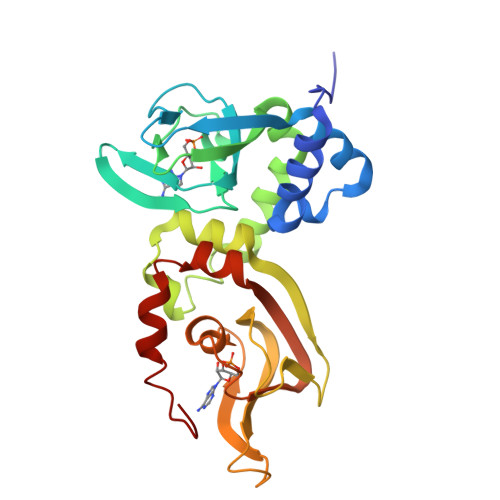 RCSB PDB - 7LZ4: Crystal structure of A211D mutant of Protein Kinase A ...