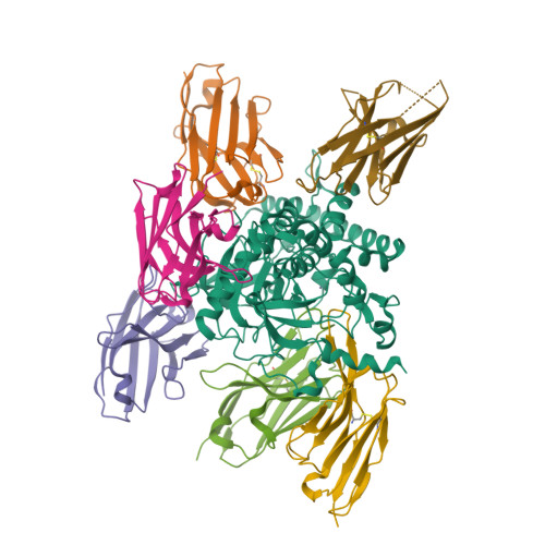 RCSB PDB - 7M1H: Crystal structure of LC/A-JPU-C10-JPU-D12-JPU-B8-JPU ...