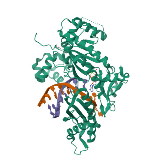 RCSB PDB - 7M85: Human DNA Pol eta S113A with dA-ended primer and dATP ...