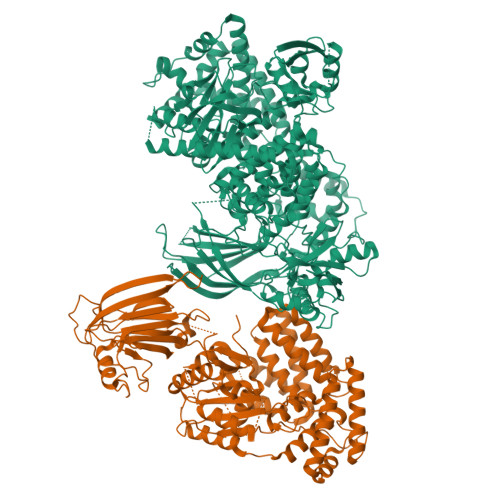 RCSB PDB - 7MEZ: Structure Of The Phosphoinositide 3-kinase P110 Gamma ...