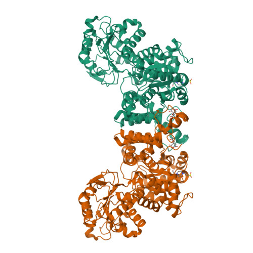 RCSB PDB - 7MF4: Crystal structure of Trypanosoma cruzi cytosolic Malic ...
