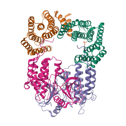 ffre様 RCSB PDB - 7MFF: Dimeric (BRAF)2:(14-3-3)2 complex bound to
