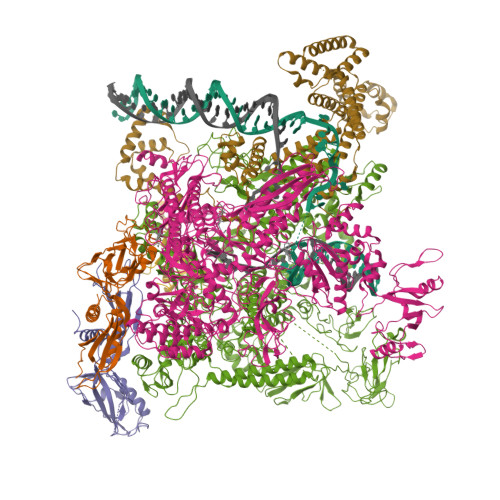 RCSB PDB - 7MKI: Cryo-EM structure of Escherichia coli RNA polymerase ...