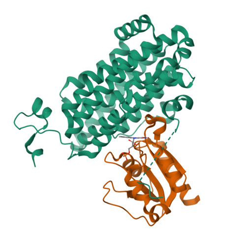 Rcsb Pdb Mmq Crystal Structure Of The Class Ie Ribonucleotide Reductase Beta Nrdi Complex