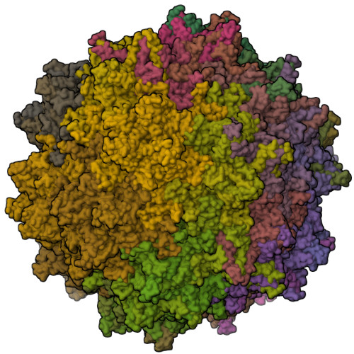 RCSB PDB - 7MT0: Structure of the adeno-associated virus 9 capsid