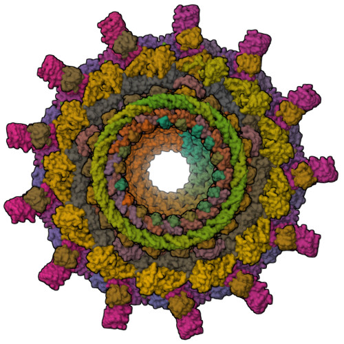 RCSB PDB - 7MUW: Reconstruction of the Legionella pneumophila Dot