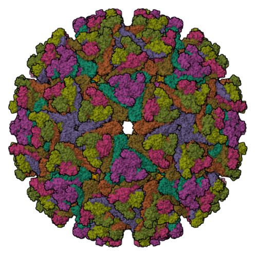 RCSB PDB - 7N1I: CryoEM structure of Venezuelan equine encephalitis ...