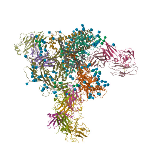 RCSB PDB - 7N28: Cryo-EM structure of broadly neutralizing V2-apex