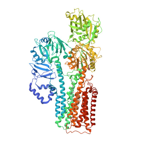 RCSB PDB - 7N77: Cryo-EM structure of ATP13A2 D458N/D962N mutant 