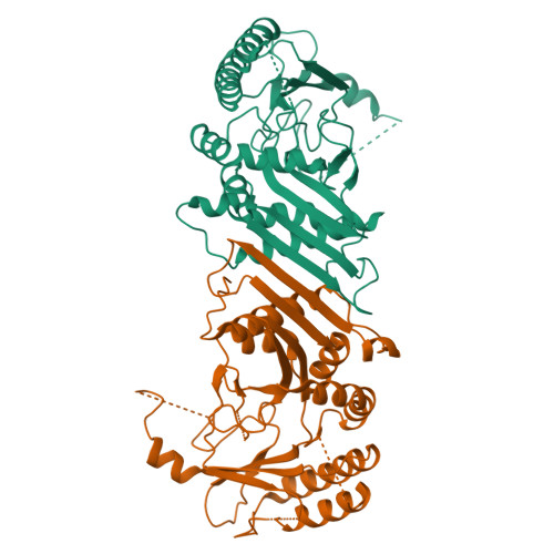 RCSB PDB - 7N80: Crystal Structure of PI5P4KIIBeta