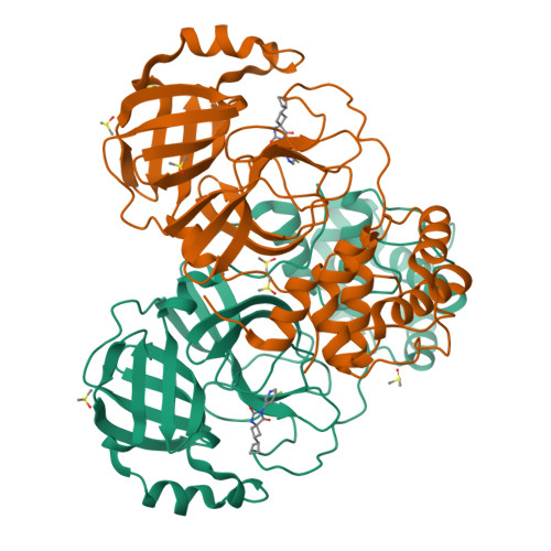 RCSB PDB - 7NEO: Crystal Structure Of SARS-CoV-2 Main Protease (Nsp5 ...