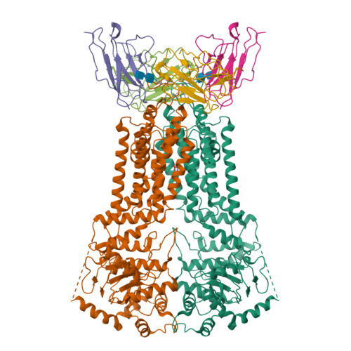 RCSB PDB - 7NFD: Structure of mitoxantrone-bound ABCG2