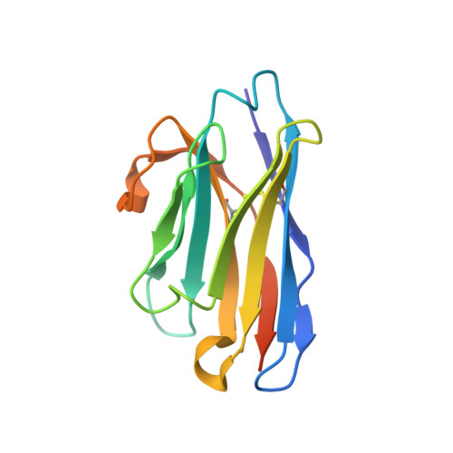 RCSB PDB - 7NFT: Fujian capbinding domain in complex with Nb8208