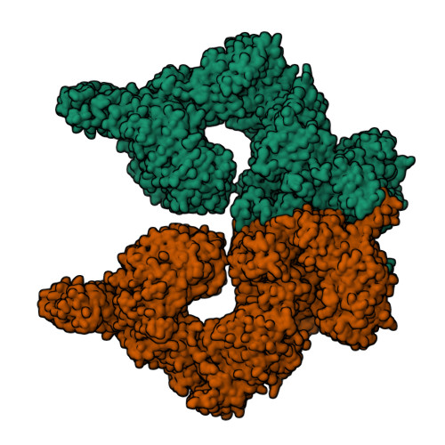 RCSB PDB - 7NI5: Human ATM kinase with bound inhibitor KU-55933