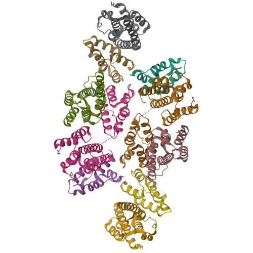 RCSB PDB - 7NOM: Structure of the mature RSV CA lattice: Group IV