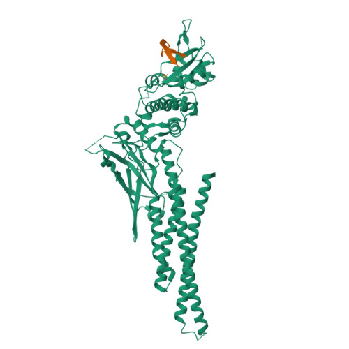 RCSB PDB - 7NUF: Vaccinia virus protein 018 in complex with STAT1