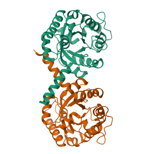 chronic1975ページ A 83-01 | TGF-β Receptors | Tocris Bioscience