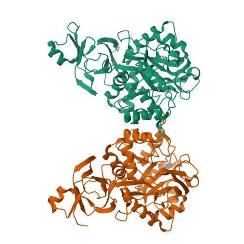 N-acetylglucosamine-6-phosphate deacetylase structure