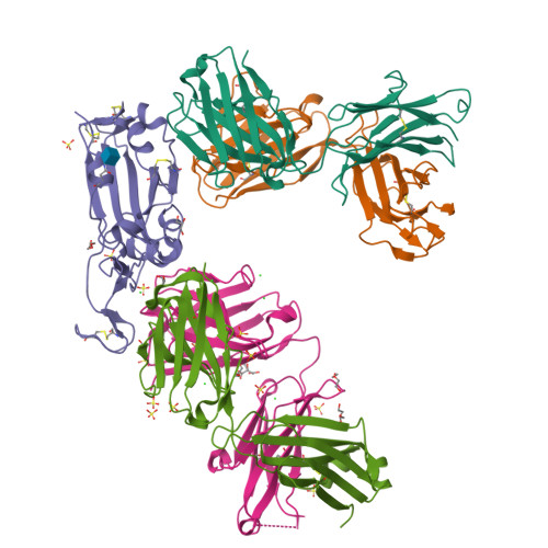 RCSB PDB - 7NX8: Crystal structure of the K417T mutant receptor