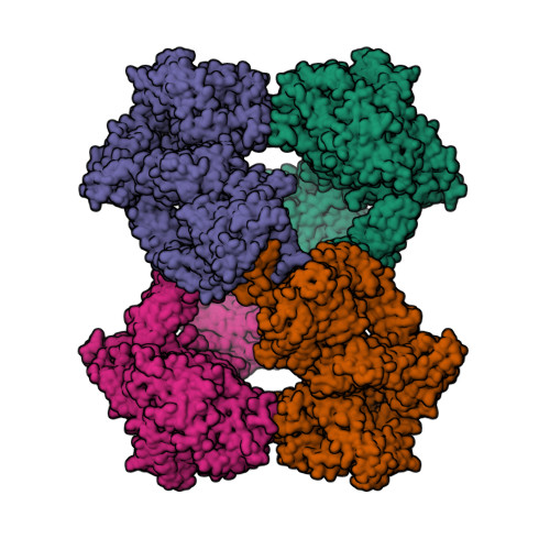 Cryo-EM structures show the mechanistic basis of pan-peptidase inhibition  by human α2-macroglobulin