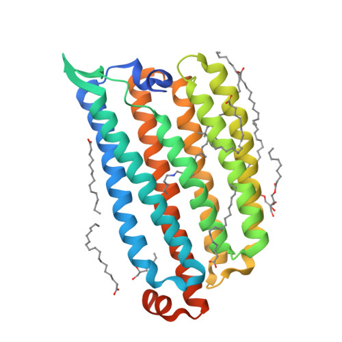 Dynamics and mechanism of a light-driven chloride pump