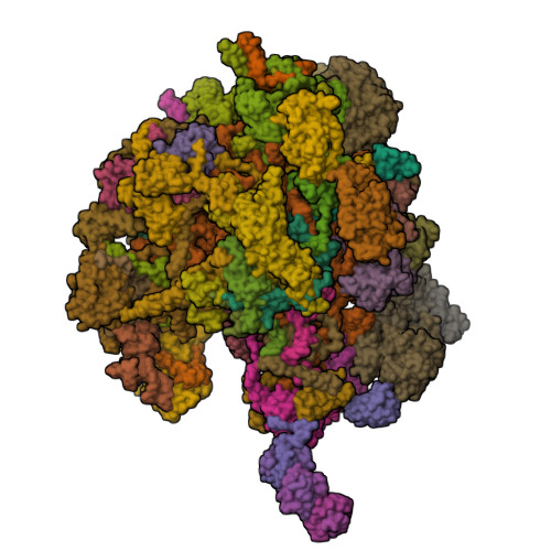 RCSB PDB - 7O9K: Human mitochondrial ribosome large subunit assembly ...