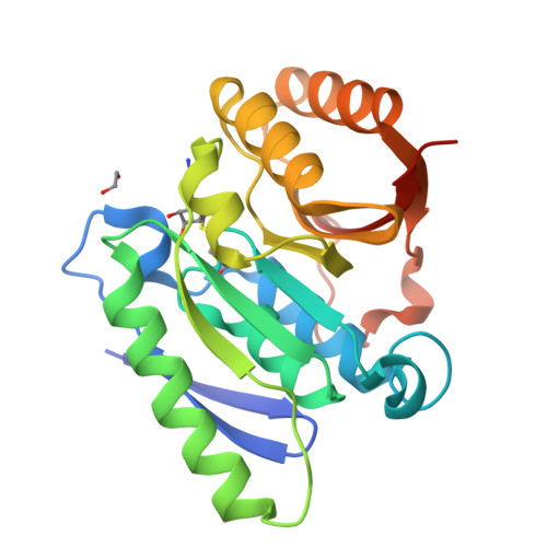 RCSB PDB - 7OAS: Structural basis for targeted p97 remodeling by ASPL ...