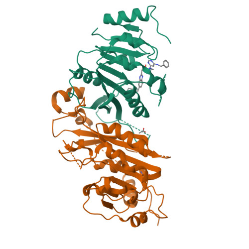 RCSB PDB - 7OEI: Crystal structure of the human METTL3-METTL14 complex ...