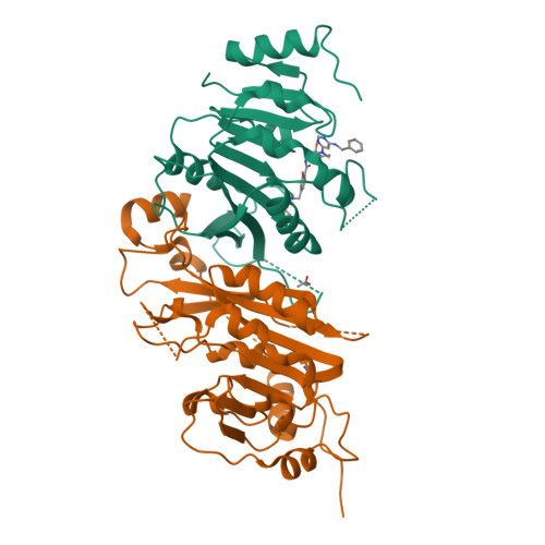 RCSB PDB - 7OEK: Crystal Structure Of The Human METTL3-METTL14 Complex ...