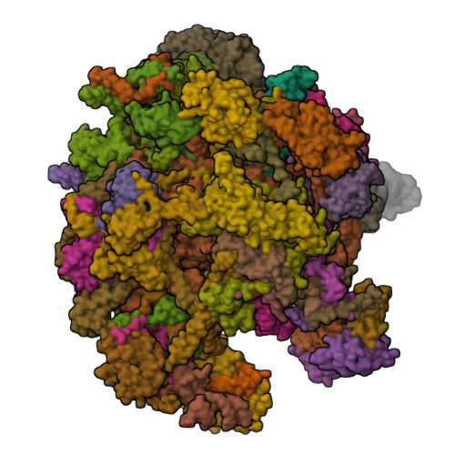 RCSB PDB - 7OF3: Structure of a human mitochondrial ribosome large ...