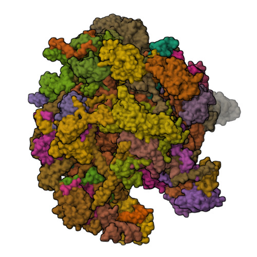 RCSB PDB - 7OF5: Structure of a human mitochondrial ribosome large ...