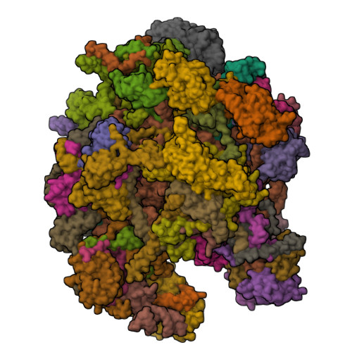 RCSB PDB - 7OF6: Structure of mature human mitochondrial ribosome large ...