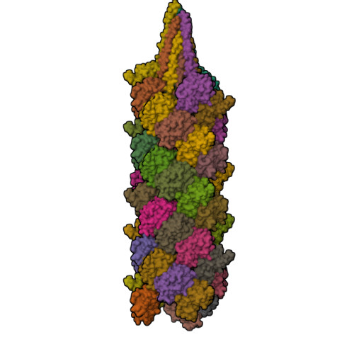 RCSB PDB - 7OFQ: The archaellum of Methanocaldococcus villosus