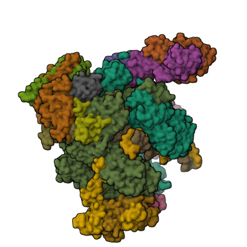 PDB 7OKX