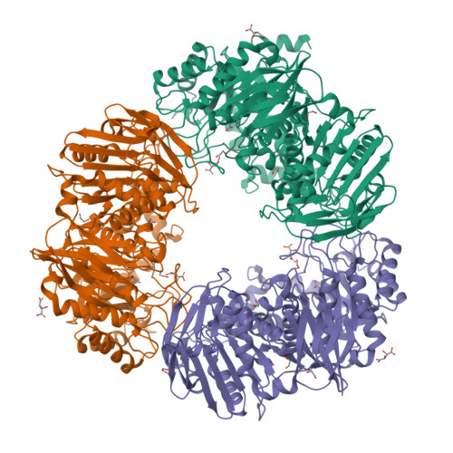RCSB PDB - 7OMI: Bs164 in complex with mannocyclophellitol epoxide