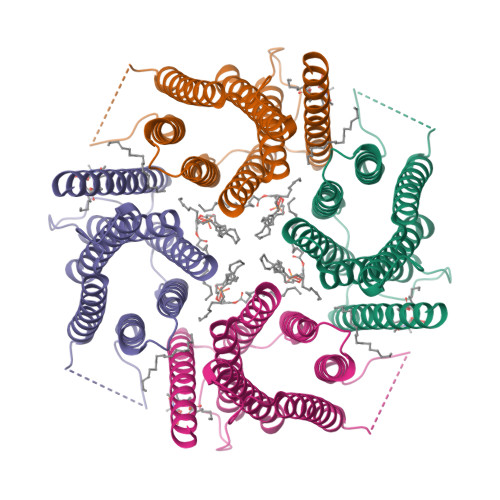 PDB 7OQZ