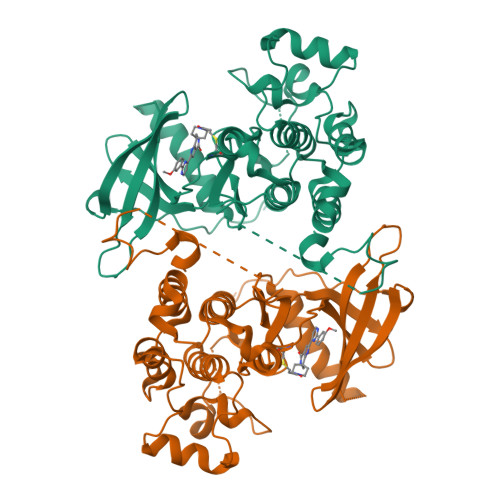 らんらんページ Wheel Bearing BDZ38-1J DAC38680026 - High Speed & Low Friction
