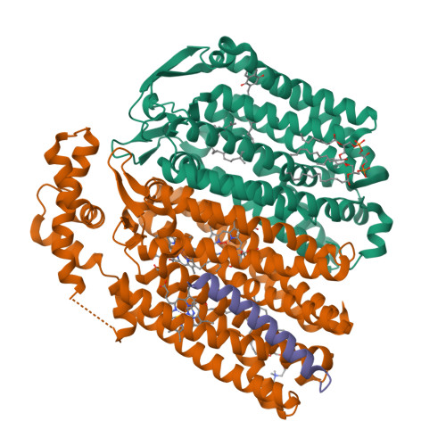 RCSB PDB - 7OY2: High resolution structure of cytochrome bd-II