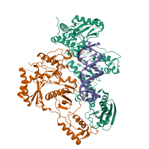 Rcsb Pdb - 7p15: Cryo-em Structure Of Hiv-1 Reverse Transcriptase With 