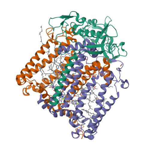 Rcsb Pdb P C F M H Mutant Structure Of Photosynthetic Reaction Center From Rhodobacter