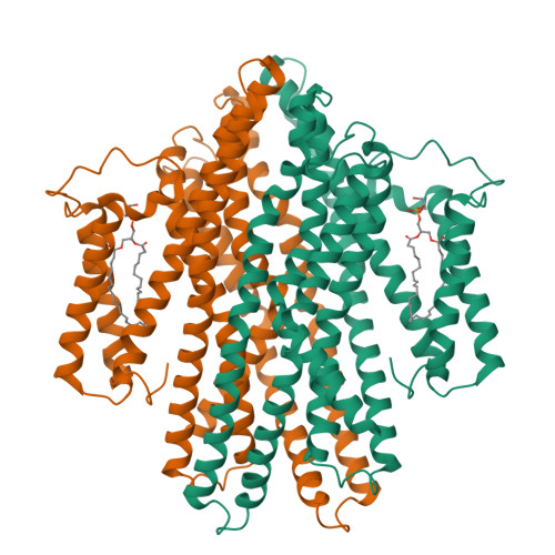 RCSB PDB 7P34 Cryo EM Structure Of The Proton Dependent