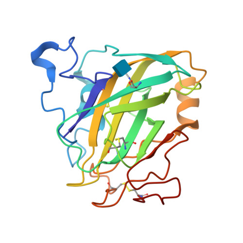 RCSB PDB - 7P3U: Chitin-active fungal AA11 LPMO