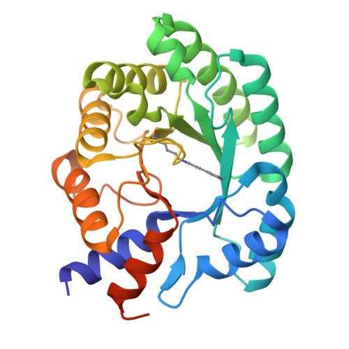イラスト Deoxy.Hb' RCSB PDB - 1HMD: THE STRUCTURE OF DEOXY AND OXY HEMERYTHRIN
