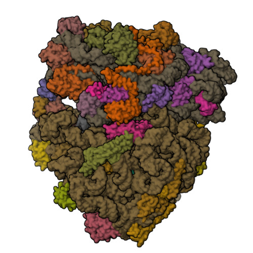 RCSB PDB - 7PAK: 70S ribosome with EF-Tu-tRNA and P-site tRNA in ...