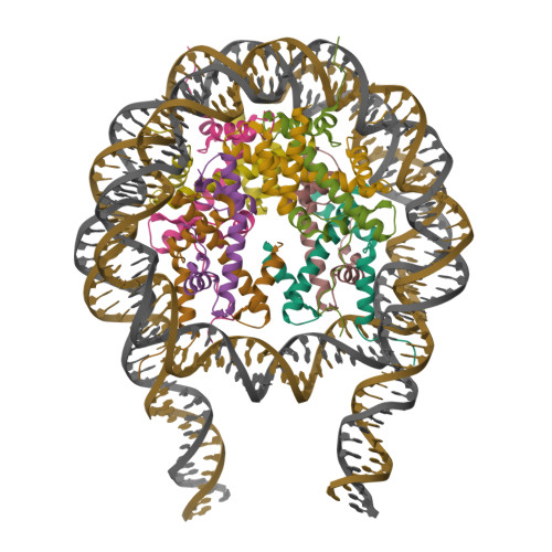 RCSB PDB - 7PF4: Nucleosome 3 of the 4x187 nucleosome array containing H1