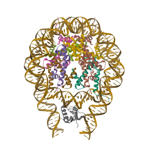 RCSB PDB - 7PF6: Nucleosome 1 of the 4x187 nucleosome array containing H1