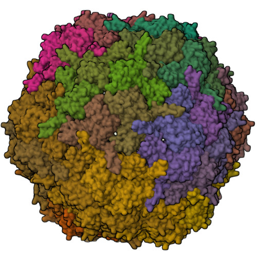 RCSB PDB - 7PHM: Cryo-EM Structure Of Mycobacterium Tuberculosis Encapsulin